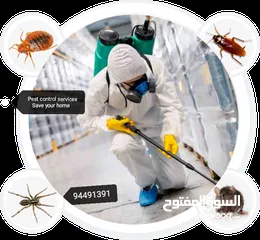  8 We provide you the best pest control service's & We have professional deep cleaning also