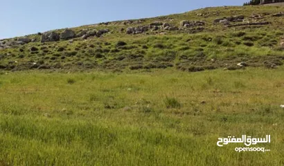 1 ارض عنيبه جرش اطلاله روعه و 3500 متر مربع 55الف كامل  القطعه قابل للتفاوض (مدخل خاص)