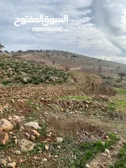  10 14 قطعة أرض في أجمل مناطق كفرنجه في عجلون