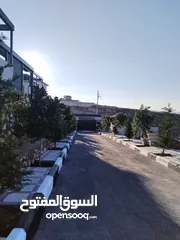  5 مزروعة مميزة محاذية للحرش مرتفعة وكاشفة