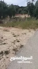  1 بيع قطعه ارض