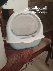  3 مستلزمات قطط
