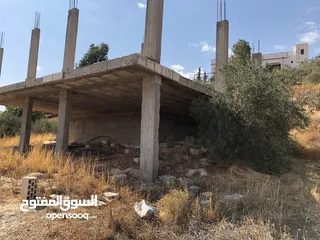  2 بلدية ارحاب/حمامة العموش