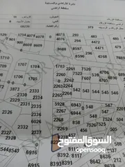  2 قطعة أرض الزرقاء حي الزواهرة لقطة وبسعر محروق المساحة 501 متر