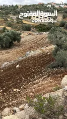  1 ارض للبيع بمواصفات خيالية