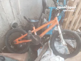  1 بسكليت عجال خمال السعر 25