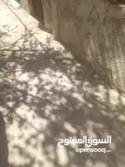  9 بيت للبيع المستعجل بسعر مغري 25000 قابل للتفاوض