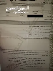  8 مرسيدس S320 للبيع