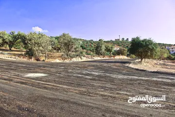  3 الأردن-عمان الغربيه - بدرالجديدة -الكاشف ارض مميزه للبيع 1200م باطلاله غربيه عاليه وجميله جدا