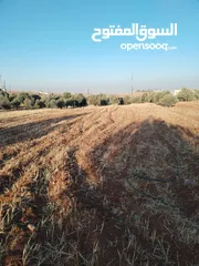  1 مزرعه مساحه 3400 م للبيع مفروز قوشان مستقل رحاب بالقرب من طريق اربد الزرقاء واصل جميع الخدمات