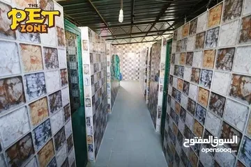  7 درّب كلبك الآن ...اكبر مركز لتدريب الكلاب