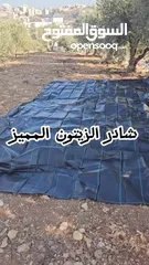  2 شادر زيتون