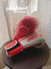  1 boxing gloves (2tuf 2tap)