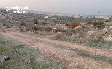  2 الظاهر لتسييج و تشيييك الاراضي الزراعية و التجارية