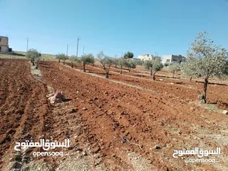  3 ارض للبيع مساحه 3400م قوشان مستقل مفروووز