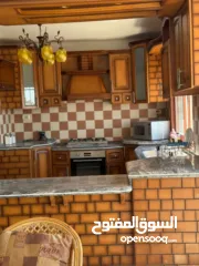  13 شقة مفروشة / الماصيون