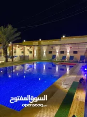  30 شليهت لليجار اليومي