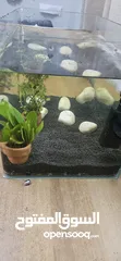  1 حوض سمك للبيع ( قابل للتفاوض) Fish tank for sale  (negotiable).