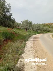  3 ارض مربعه الشكل اطلاله مميزه واصلها جميع الخدمات 650 متر
