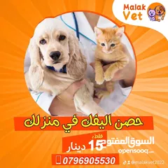  19 خدمات بيطرية متكاملة للحيوانات الاليفة