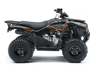  8 Kawasaki BRUTE FORCE 300