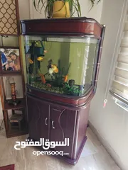  3 حوض سمك للبيع يشمل الاسماك وكل مستلزمات الحوض