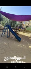  11 مزرعة زهرة اللوتس