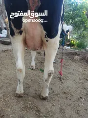  1 بكيره مسكره بالصلاه على النبي اعشار 8 شهور