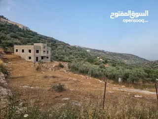  1 فرصة ارض للبيع بسعر مغري في طولكرم