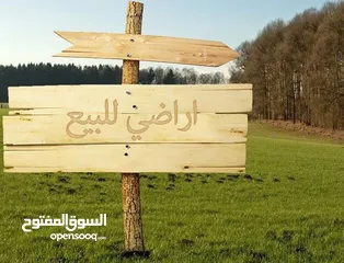  1 اراض للبيع على شارع الرئيسي بيت وزن