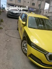  5 سكودا اوكتافيا للبيع مع البيرمت خط الحاوز