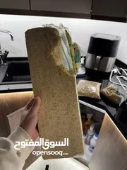  5 ببغاء كوكتيل حجم جامبو في فصيلته ذكر