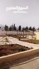  12 احجز معنا في مزرعه ماريا (جرش) احلا اطلاله بانوراميه خلابه على جبال سوف والسلط وعمان في منطقة هادئة