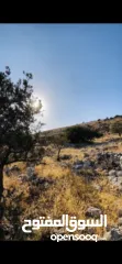  2 عقار واراضي في طوباس