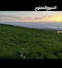  1 قطعة ارض مميزه للبيع بالسلط المغاريب مرتفعه مطله على الاغوار وجبال فلسطين الحبيبه