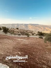  14 أرض مميزه _الصبيحي _ بيوضه الشماليه