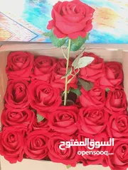  17 تصفيه محل زهور واشجار زينه  للبيع باسعار اقل من الجمله لعدم التفرغ