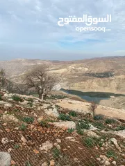  6 14 قطعة أرض في أجمل مناطق كفرنجه في عجلون