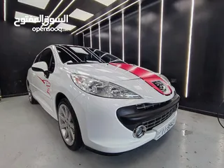  2 2009 Peugeot 207 RC LE MANS SERIES