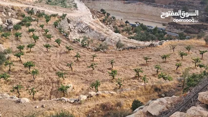 5 أرض في بيت كاحل مطلة على واد القف  شارع هيكلي لها من واد القف عرض 8 متر وشارع عرض 6م من بيت كاحل