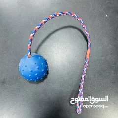  8 عروض نار على العاب وعضاضات الكلاب