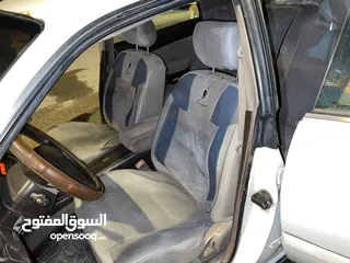  16 بطة متل للبيع