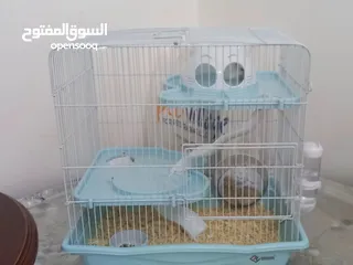  1 قفص هامستر  hamster cage