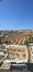 9 شقة عظم بجانب حاجز مزمويا (الخاص)