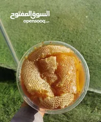  1 عسل ابو  طويق  عسل  سدر  خالص