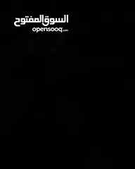  1 شقة للايجار الهاشمية - بالحرارية