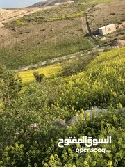  5 أرض بسعر مغري