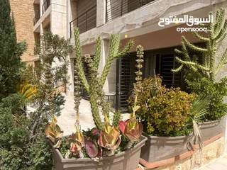  1 شقة مفروشة للإيجار  ( Property 43122 )-175083270