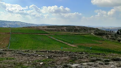  2 نمرتين ارض للبيع