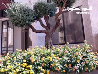  8 شقة مميزة جدا حديثة بمنطقة الدوار الرابع ( Property ID : 30075 )